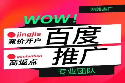 百度推广费用投入与品牌知名度提升的案例分析